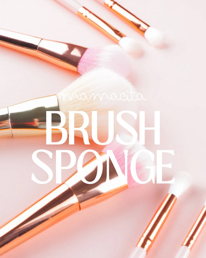 Brush/Sponge
