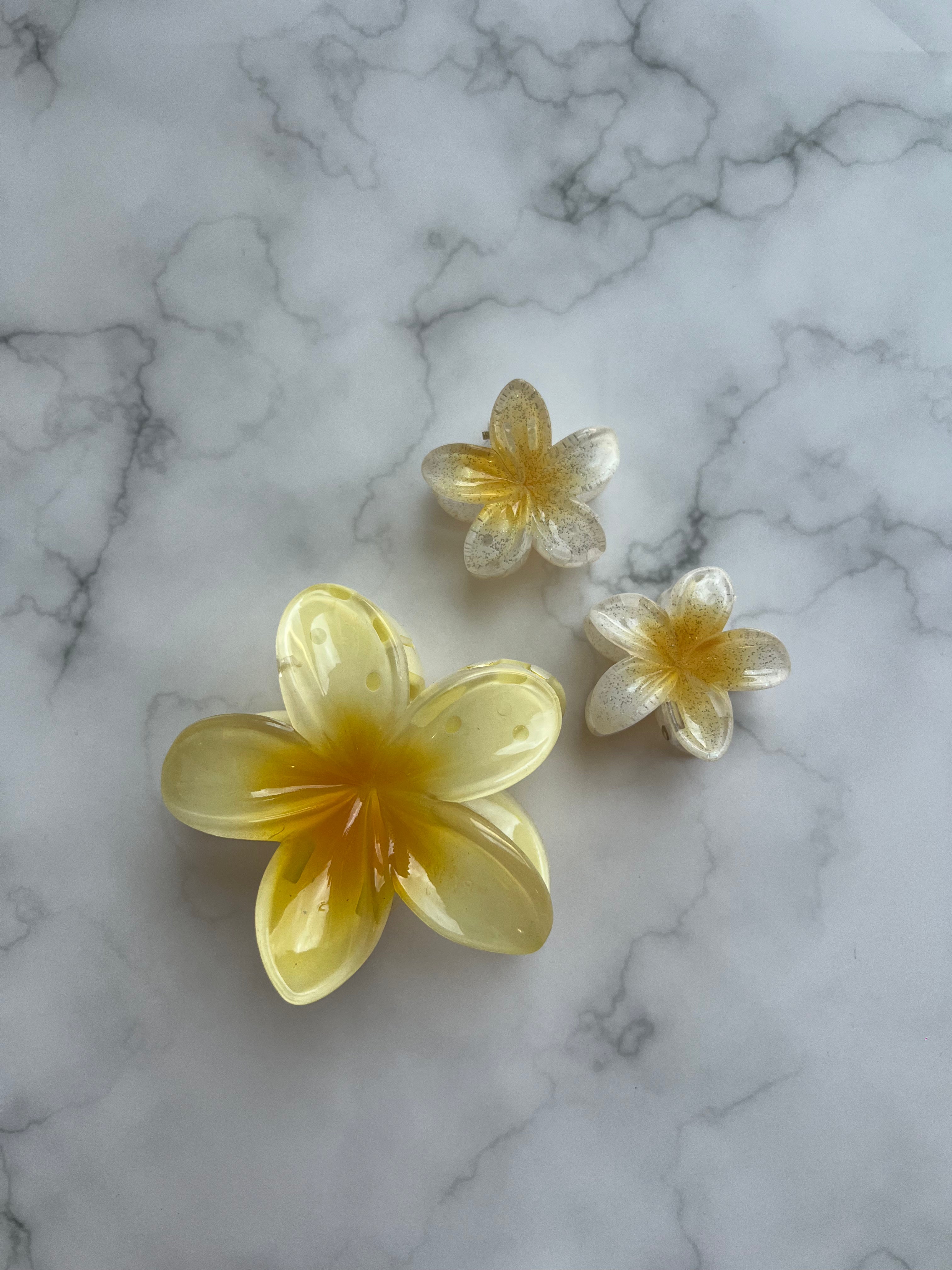 Floral Hair Clips Hawaii