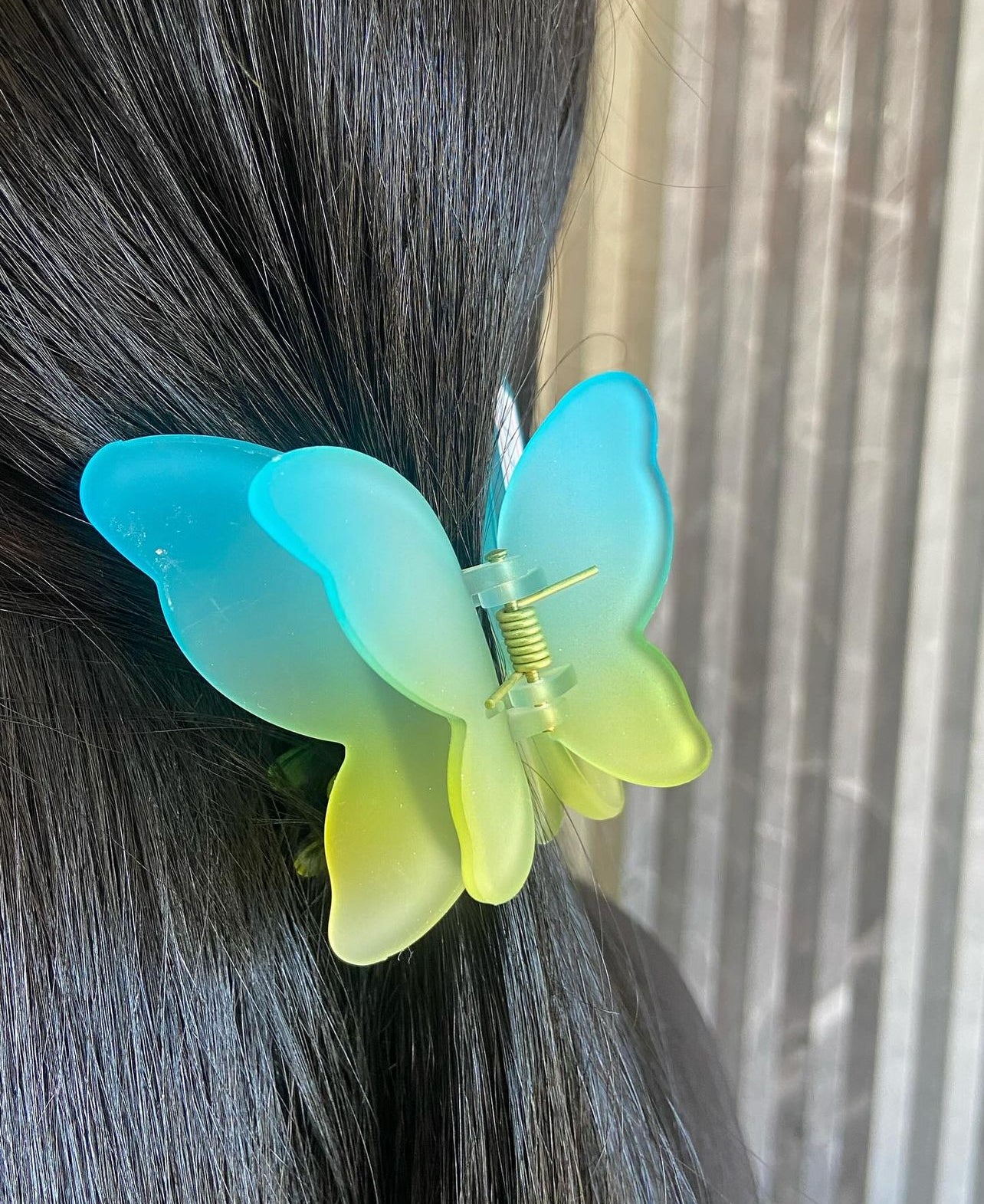Butterfly Hair Clips