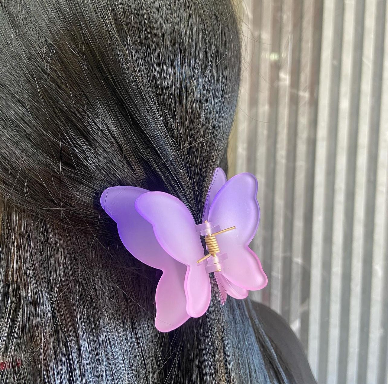 Butterfly Hair Clips